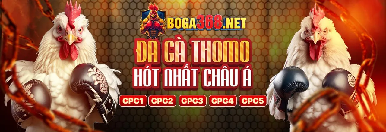 Đá Gà Trực Tuyến A88